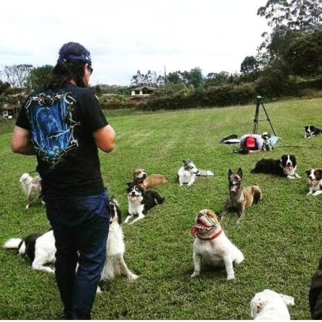 Sesión de socialización grupal en la Universidad de los Perros, Rionegro