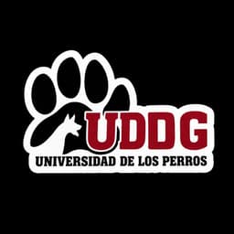 Universidad de los Perros — UDDG